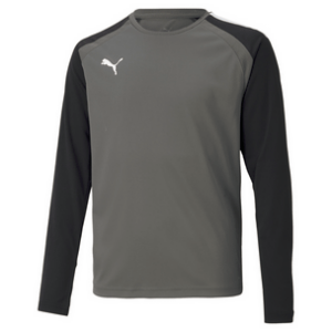 Longsleeve Puma Junior smoked grey