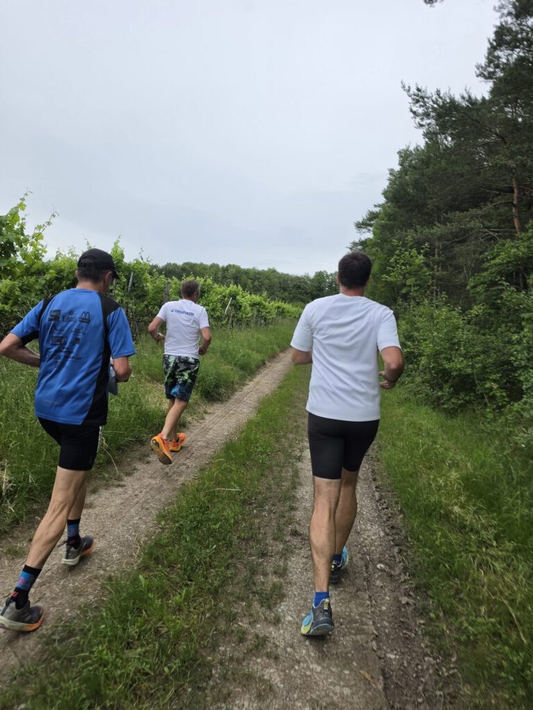 Drei Männer joggen auf einem Schotterweg in der Natur. Der Weg ist von hohem Gras und Bäumen umgeben, und die Läufer tragen Sportbekleidung. Hochnebeliger Himmel ist im Hintergrund sichtbar.