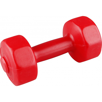 Gymnastikhantel 2 x 1,5kg